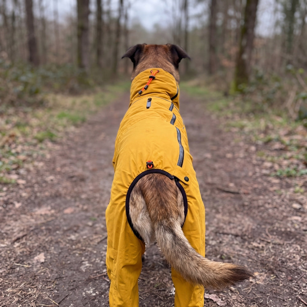 Manteau Imperméable Intégral pour Chien