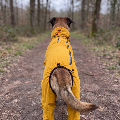 Manteau Imperméable Intégral pour Chien