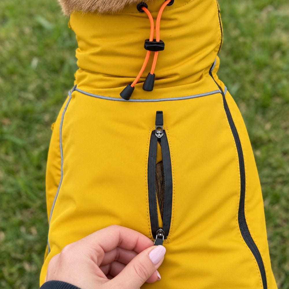 Manteau Imperméable Intégral pour Chien
