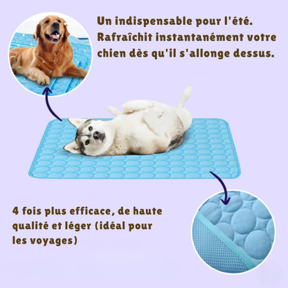 Tapis Rafraîchissant pour Chien – Confort et Fraîcheur Pendant l’Été