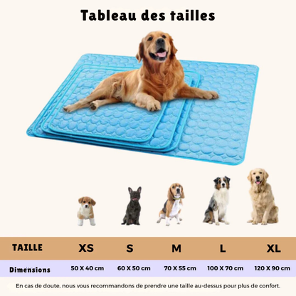 Tapis Rafraîchissant pour Chien – Confort et Fraîcheur Pendant l’Été
