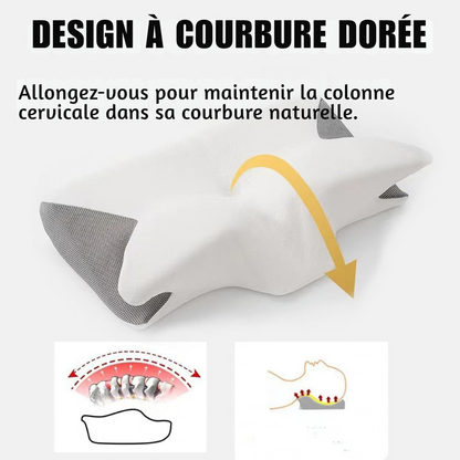 Oreiller cervical à mémoire de forme - un appui adapté à vos nuits