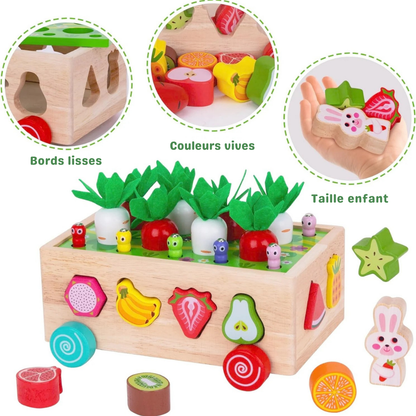 Montessori-Holzspielzeug – Sortieren von Formen, Farben und Früchten für Kinder von 1 bis 3 Jahren