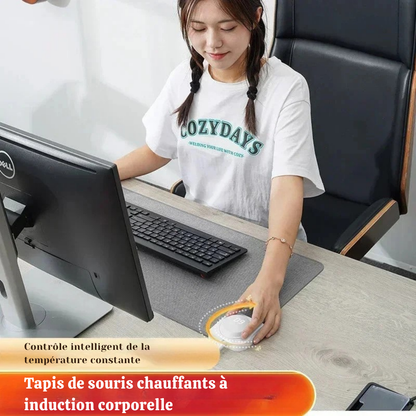 Tapis de souris chauffant électrique - mains au chaud au bureau
