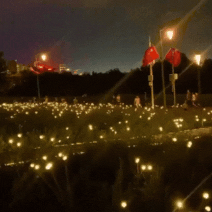 Lampes solaires LED effet luciole - une ambiance féerique au jardin