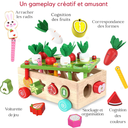 Montessori-Holzspielzeug – Sortieren von Formen, Farben und Früchten für Kinder von 1 bis 3 Jahren