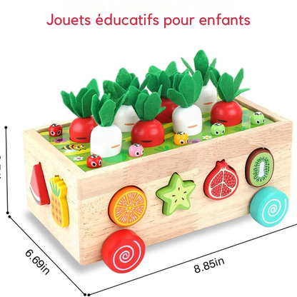 Montessori-Holzspielzeug – Sortieren von Formen, Farben und Früchten für Kinder von 1 bis 3 Jahren