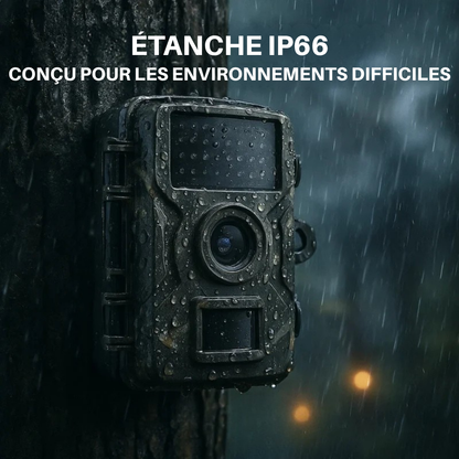 Caméra de chasse 16 MP 1080p - observez la faune même la nuit