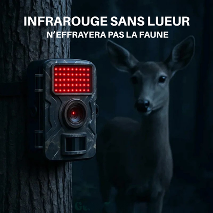 Caméra de chasse 16 MP 1080p - observez la faune même la nuit
