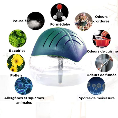 Purificateur d’Air à Base d’Eau – Respirez une Fraîcheur Naturelle au Quotidien