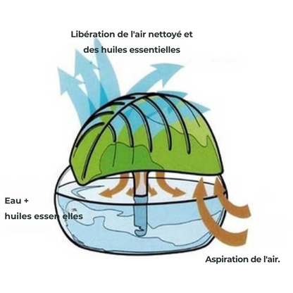 Purificateur d’Air à Base d’Eau – Respirez une Fraîcheur Naturelle au Quotidien