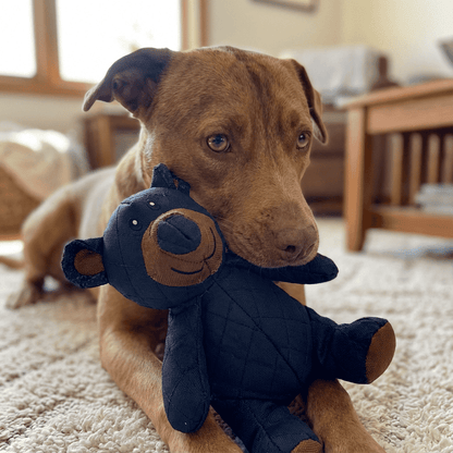 Jouet Indestructible pour Grands Mâchouilleurs | Unbreaka-Bear pour Chiens | Jouet Résistant pour Chiens Agités et Actifs