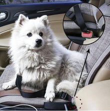 PETECURE - Ceinture de sécurité réglable pour animaux de compagnie en voiture