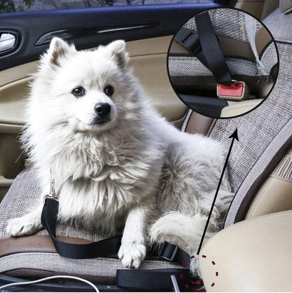 PETECURE - Ceinture de sécurité réglable pour animaux de compagnie en voiture