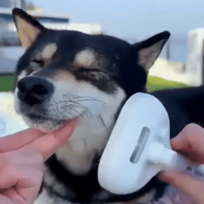Brosse à vapeur 4en1 pour animaux Brosse à vapeur pour chien - FurFresh™