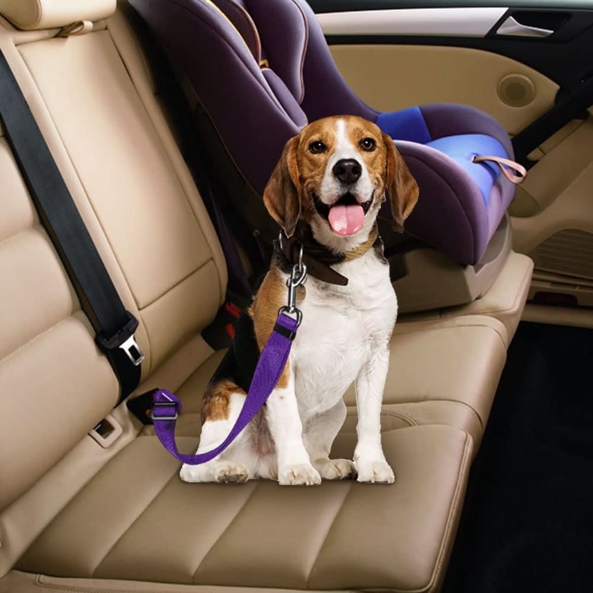 PETECURE - Ceinture de sécurité réglable pour animaux de compagnie en voiture