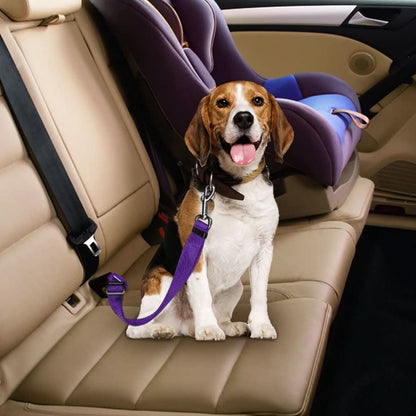 PETECURE - Ceinture de sécurité réglable pour animaux de compagnie en voiture