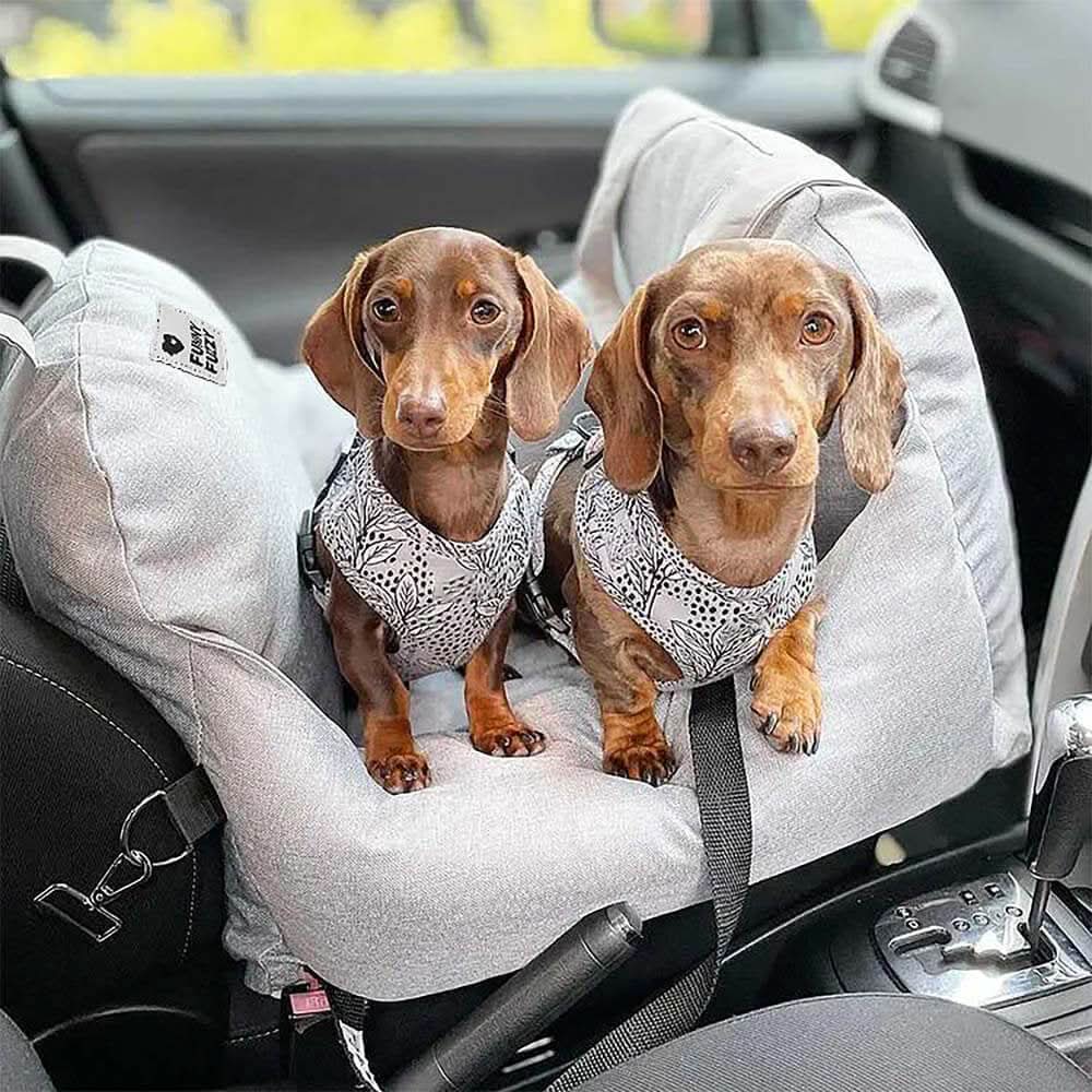 COMFYRIDE SIÈGE POUR CHIEN – Lit siège avec ceinture de sécurité et fond antidérapant