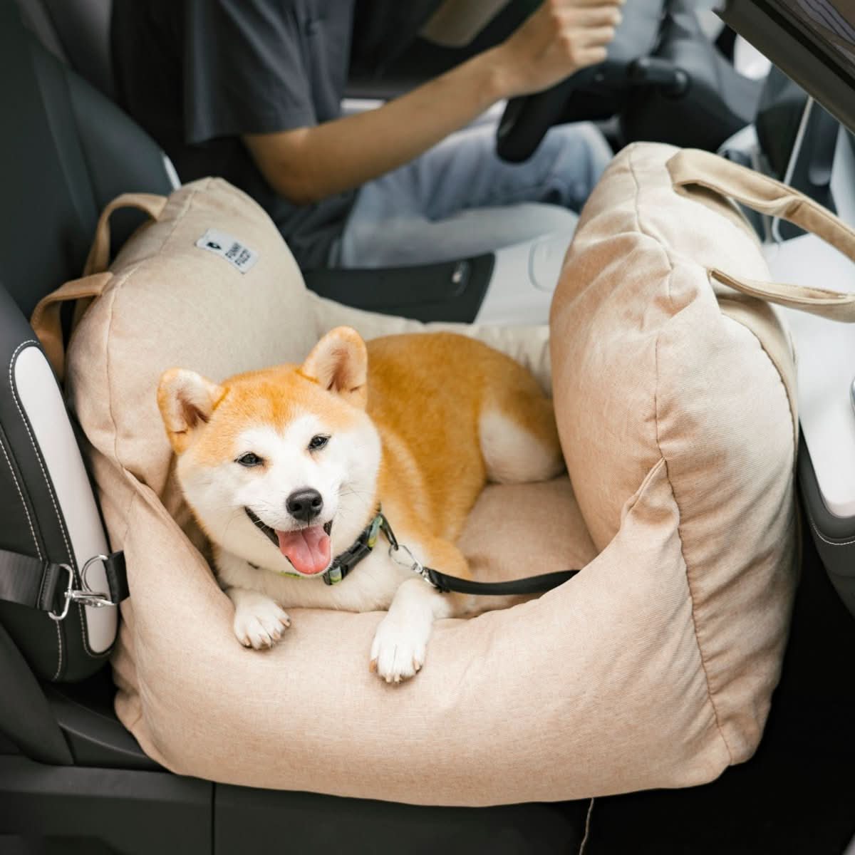 COMFYRIDE SIÈGE POUR CHIEN – Lit siège avec ceinture de sécurité et fond antidérapant