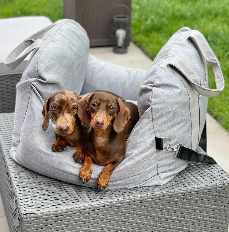 COMFYRIDE SIÈGE POUR CHIEN – Lit siège avec ceinture de sécurité et fond antidérapant