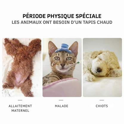 Coussin chauffant pour animaux - chaleur réglable pour les nuits froides