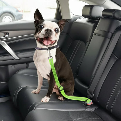 SAFETAIL – Ceinture de sécurité réglable pour chiens en voiture