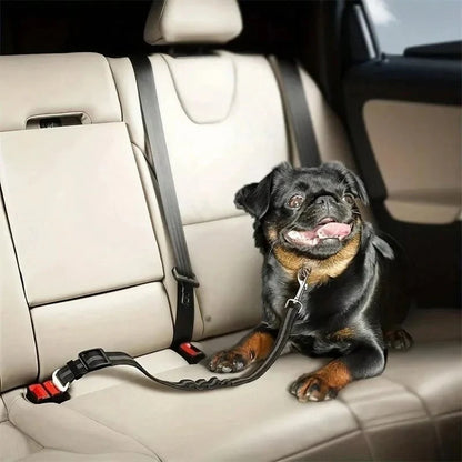 SAFETAIL – Ceinture de sécurité réglable pour chiens en voiture