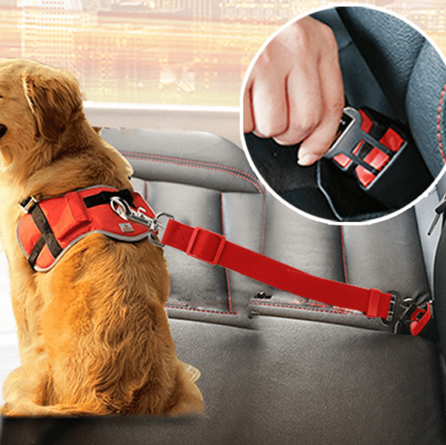 SAFEPAW - Ceinture de sécurité réglable pour chiens en voiture