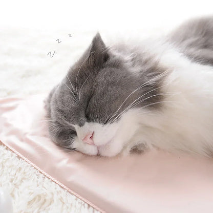 Coussin chauffant pour animaux de compagnie avec régulation de température – Sûr & Imperméable