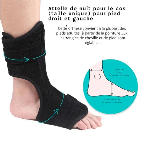 Attelle de Nuit pour Fasciite Plantaire – Soulagement Douleur Talon et Confort Ergonomique - Rondor