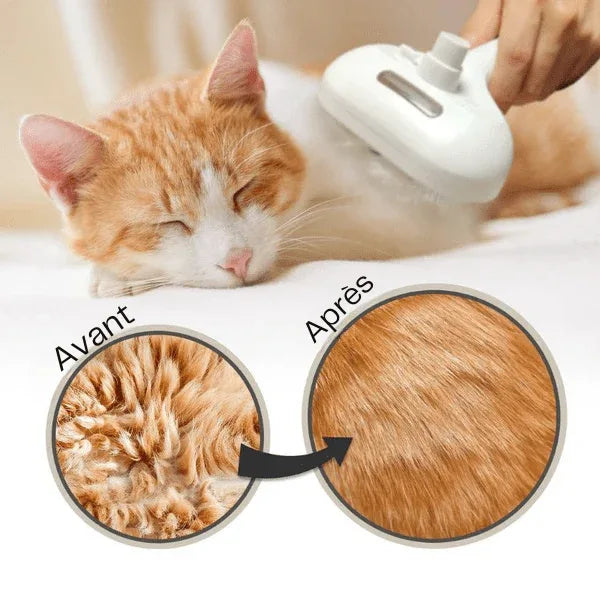Brosse à vapeur 4en1 pour animaux Brosse à vapeur pour chien - FurFresh™ - Rondor