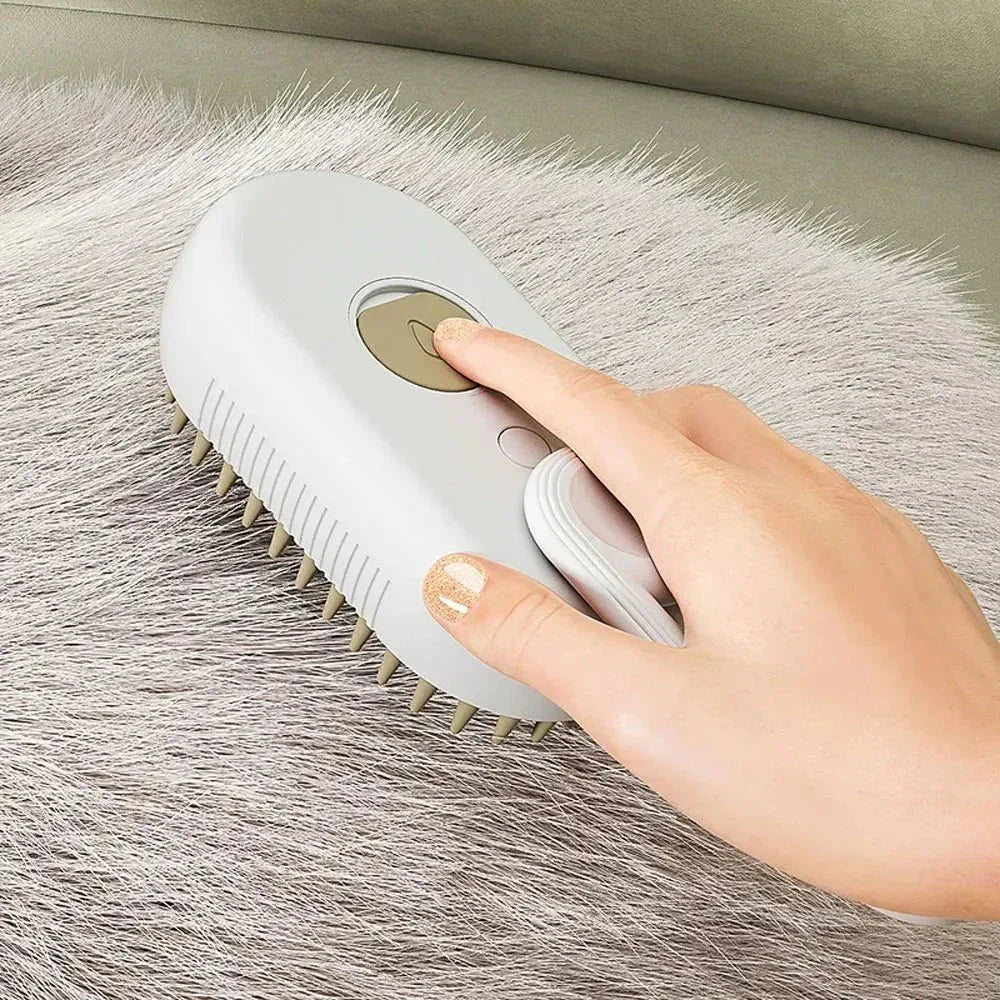 Brosse à vapeur d’eau - Rondor