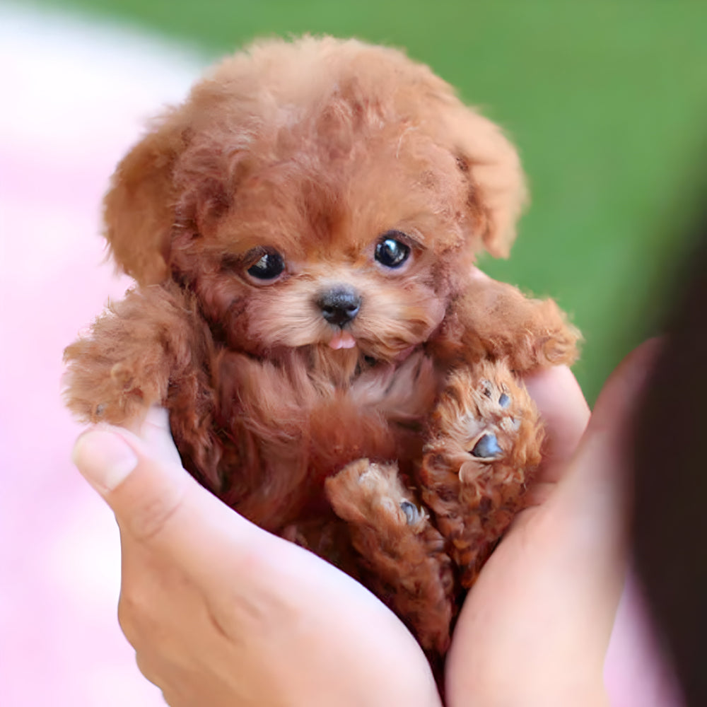 Skanto | Robot Puppy Toy | Walks, Barks and Responds