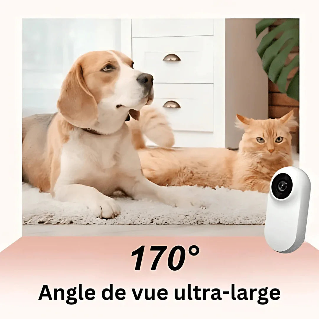 Caméra Collier Full HD 1080P™ – Suivez les Aventures de Votre Animal en Immersion Totale | RONDOR - Rondor