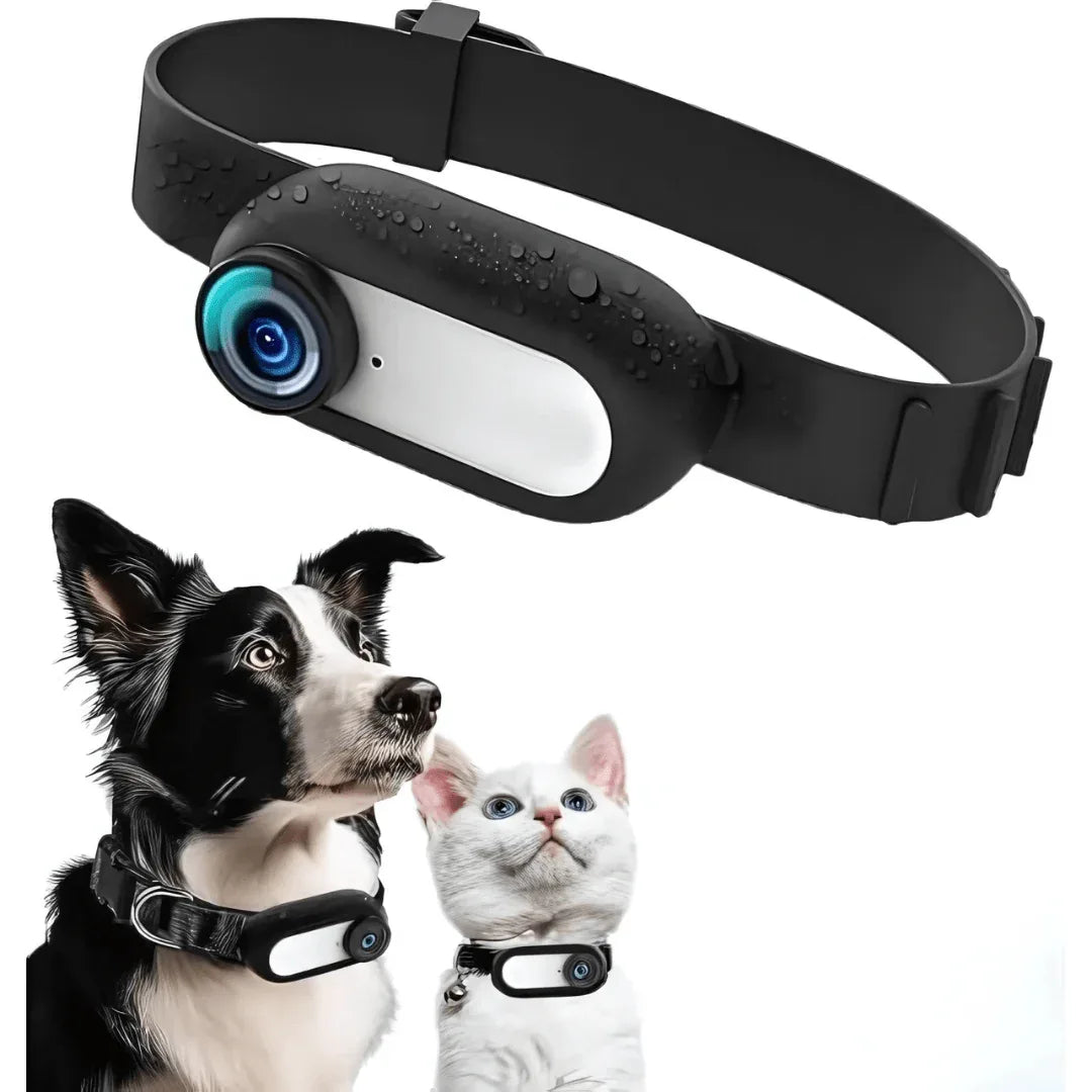Caméra Collier Full HD 1080P™ – Suivez les Aventures de Votre Animal e ...