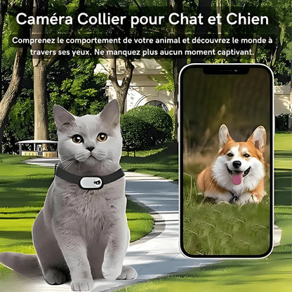 Caméra Collier Full HD 1080P™ – Suivez les Aventures de Votre Animal en Immersion Totale | RONDOR - Rondor