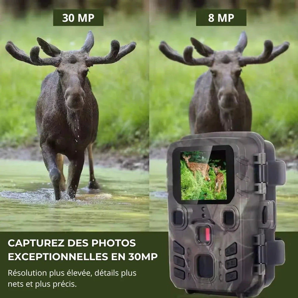 Caméra de Chasse HD – Vision Nocturne, Autonomie Longue, Étanche IP65 | RONDOR - Rondor
