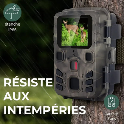 Caméra de Chasse HD – Vision Nocturne, Autonomie Longue, Étanche IP65 | RONDOR - Rondor