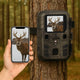 Caméra de Chasse HD – Vision Nocturne, Autonomie Longue, Étanche IP65 | RONDOR