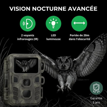 Caméra de Chasse HD – Vision Nocturne, Autonomie Longue, Étanche IP65 | RONDOR - Rondor