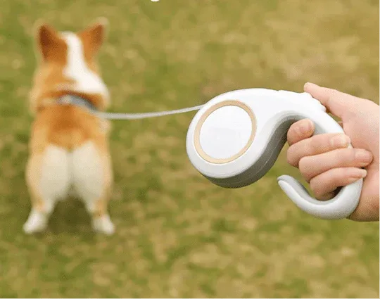 CanicheFlex | Laisse rétractable automatique - Rondor
