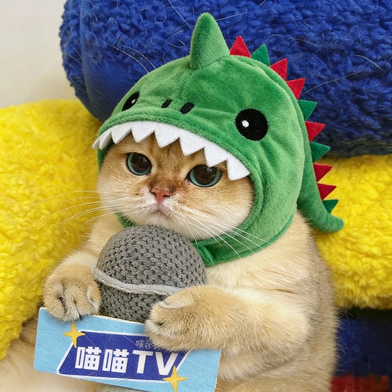 Cat Hat Hooded with Dinosaur Design Interactive Toy Options