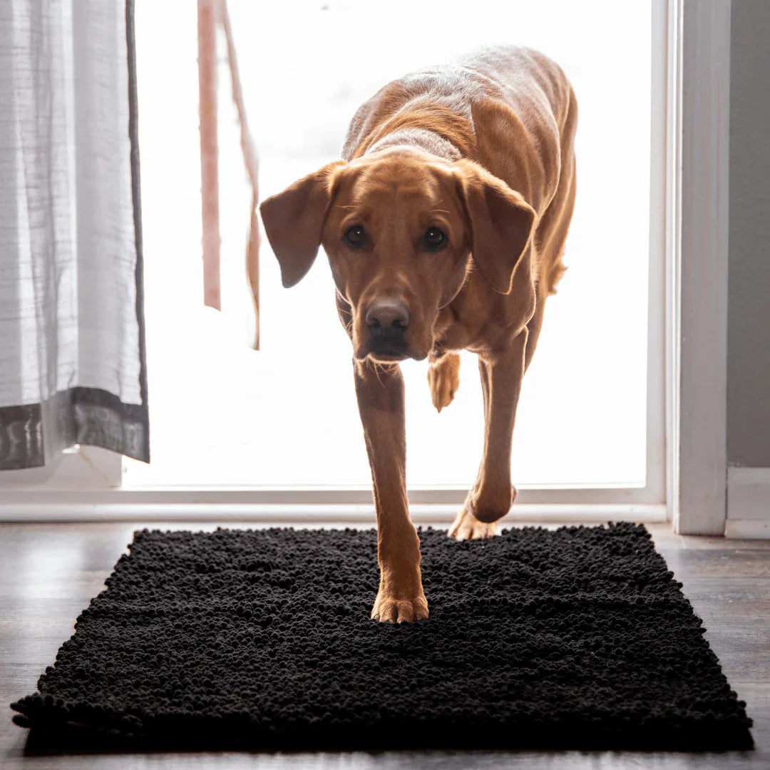 CleanyMat Premium - Tapis nettoyant - Rondor
