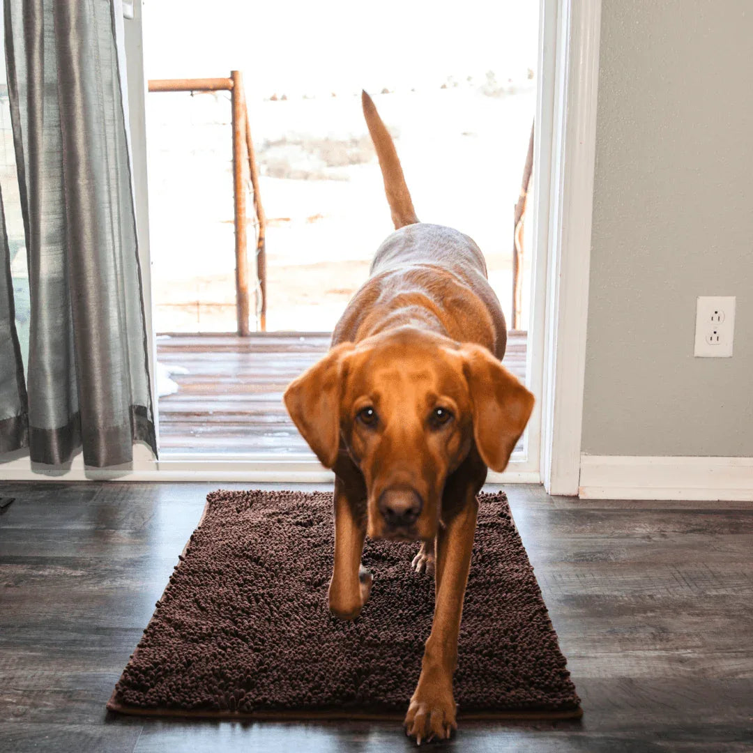 CleanyMat Premium - Tapis nettoyant - Rondor
