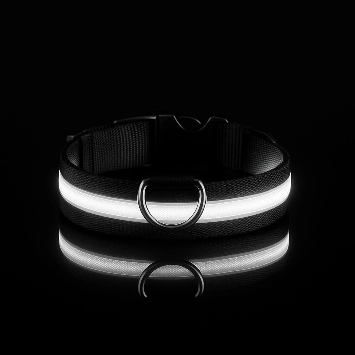 Collier LED pour chien - Visibilité Nocturne