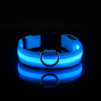 Collier LED pour chien - Visibilité Nocturne