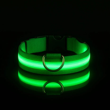 Collier LED pour chien - Visibilité Nocturne