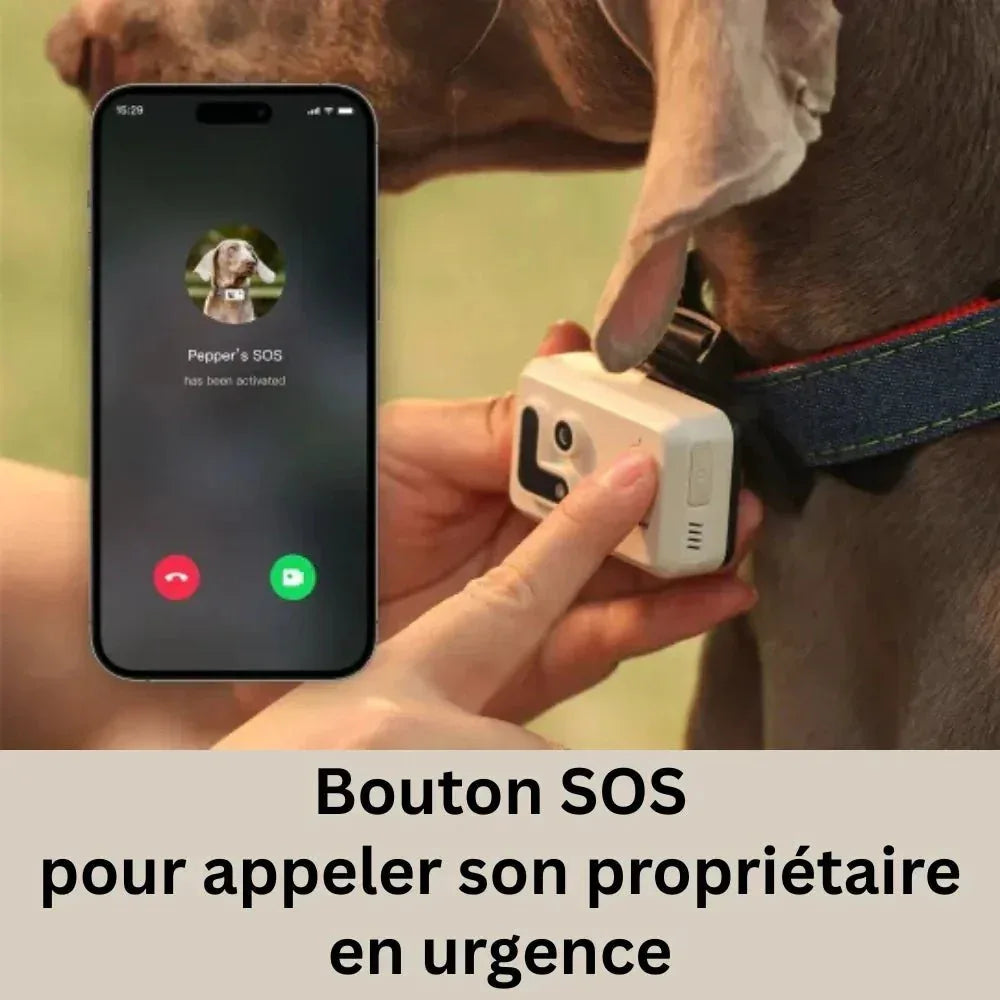 Collier GPS Caméra V360™ – Suivi en Temps Réel & Vidéo Immersive | RONDOR - Rondor