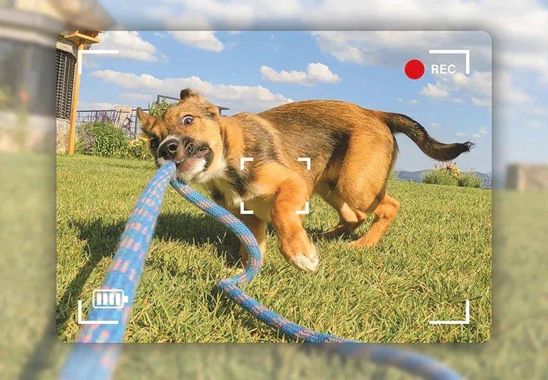 Collier GPS Caméra V360™ – Suivi en Temps Réel & Vidéo Immersive | RONDOR - Rondor