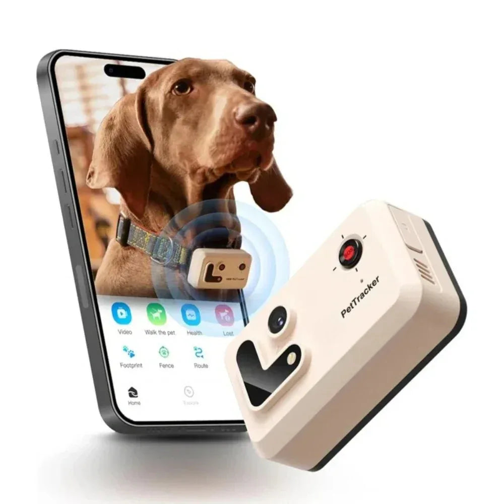 Collier GPS Caméra V360™ – Suivi en Temps Réel & Vidéo Immersive | RONDOR - Rondor